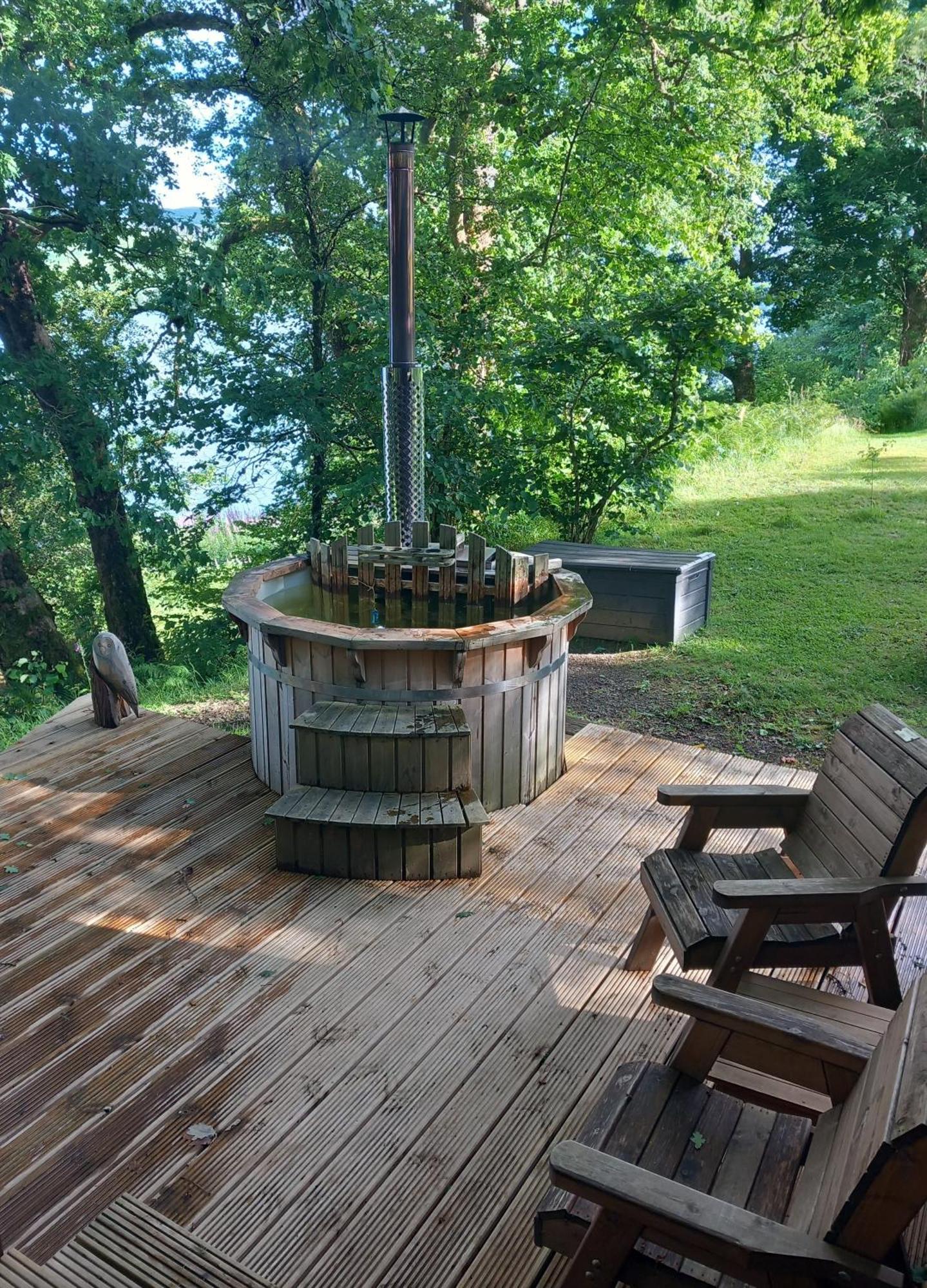 奥赛湖景山林小屋 Dalavich 外观 照片
