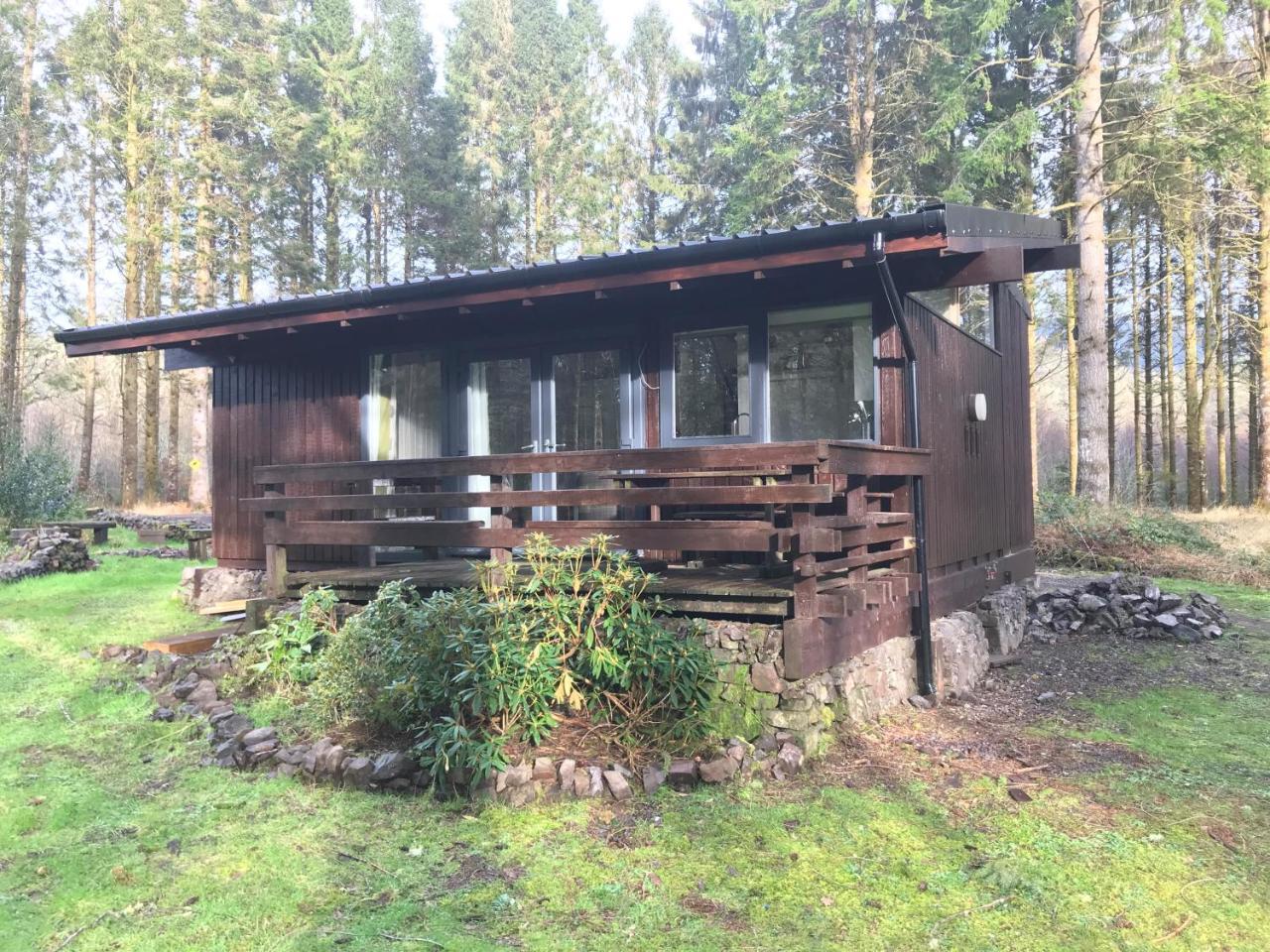 奥赛湖景山林小屋 Dalavich 外观 照片